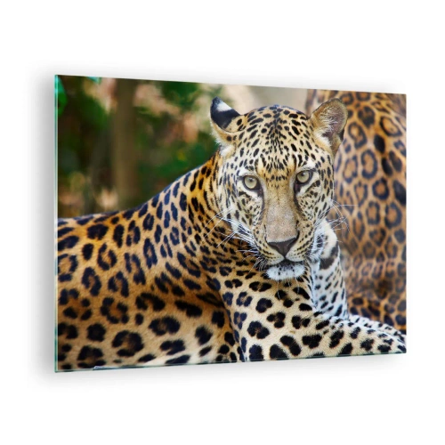 Obraz na skle - Divoký leopard odpočívá mezi zelení - 70x50cm - Divoký a klidný - Moderní nástěnná dekorace do obývacího pokoje a ložnice ARTTOR