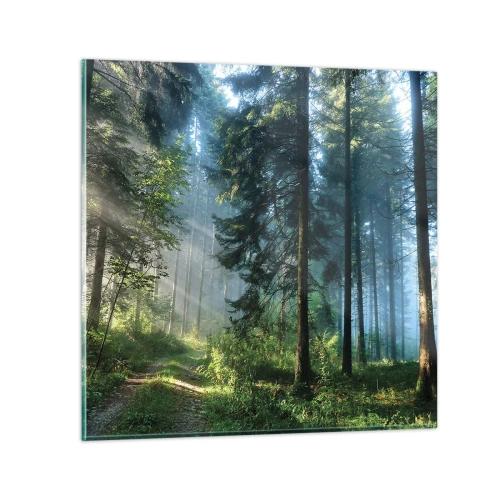 Obraz na skle - Zářící za úsvitu - 50x50 cm