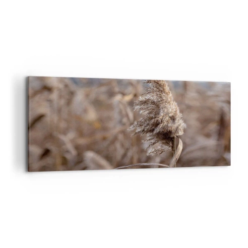 Obraz na plátně - Čas odletět s větrem - 120x50 cm