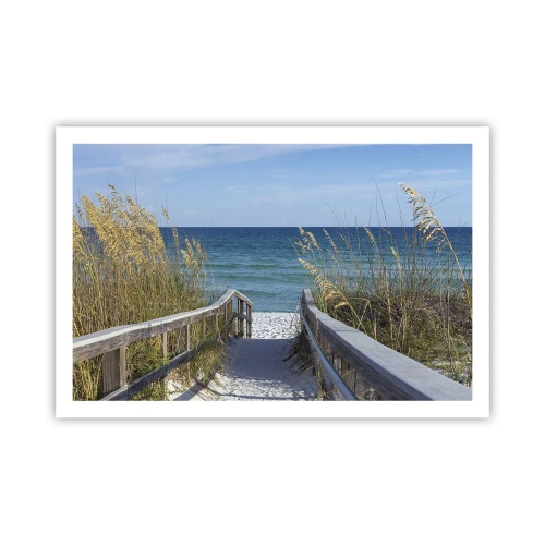 Plakát - Na slunci, ve větru - 91x61 cm