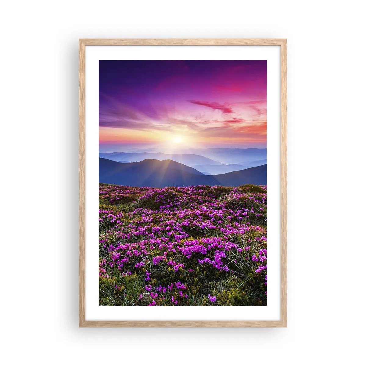 Plakát v rámu světlý dub - Zavoněly svěží pupeny bylinek z obilných polí - 50x70 cm