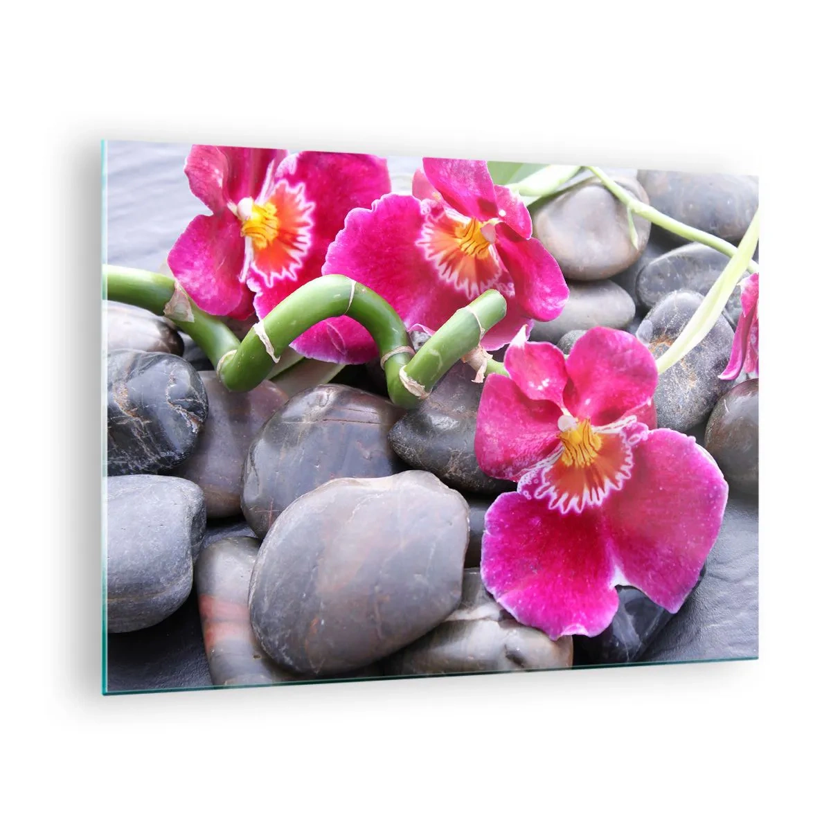 Obraz na skle - Růžové orchideje s bambusem na kamenech - 70x50cm - Chlad a žár - Moderní nástěnná dekorace do obývacího pokoje a ložnice ARTTOR