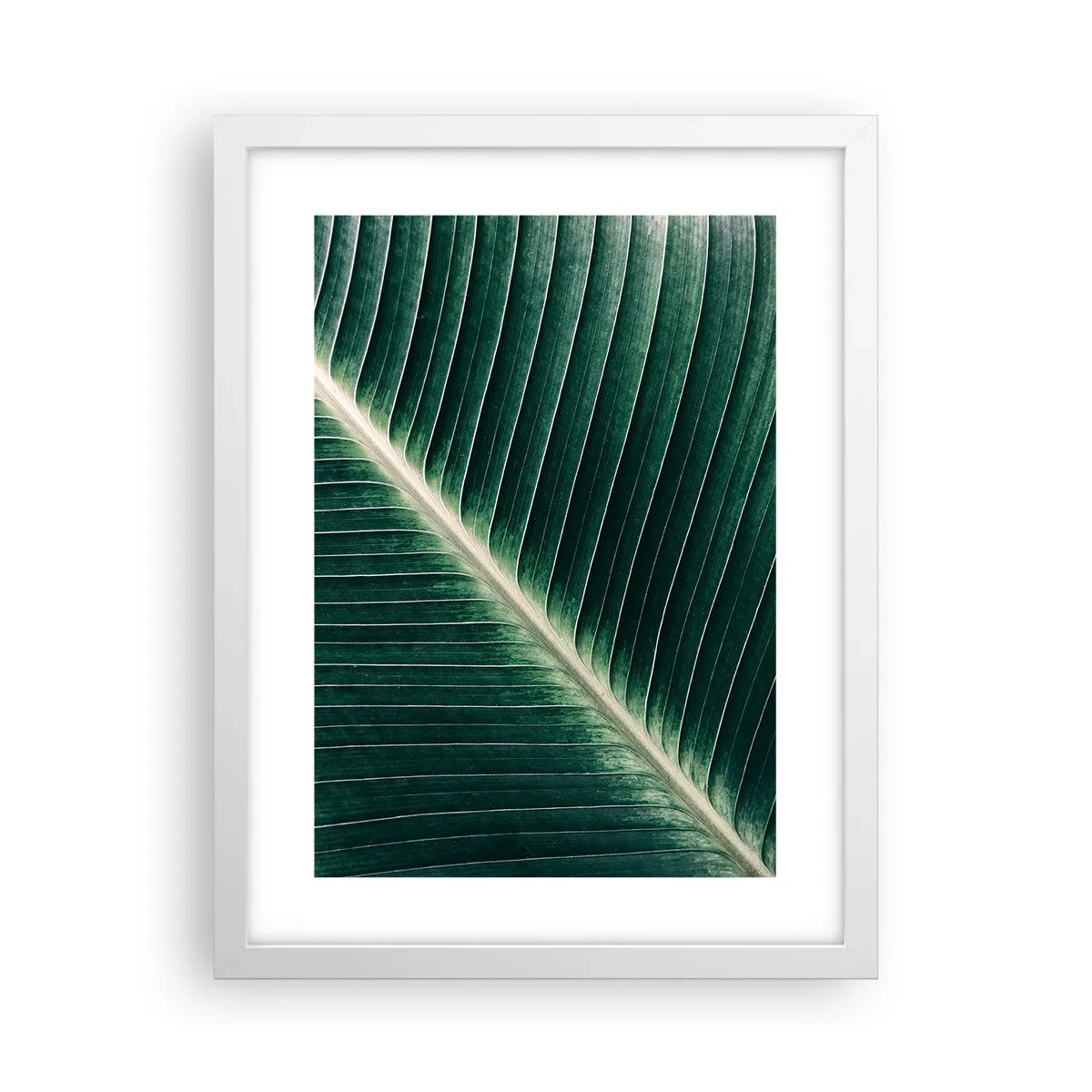 Plakát v bílém rámu - Rytmus přírody - 30x40 cm
