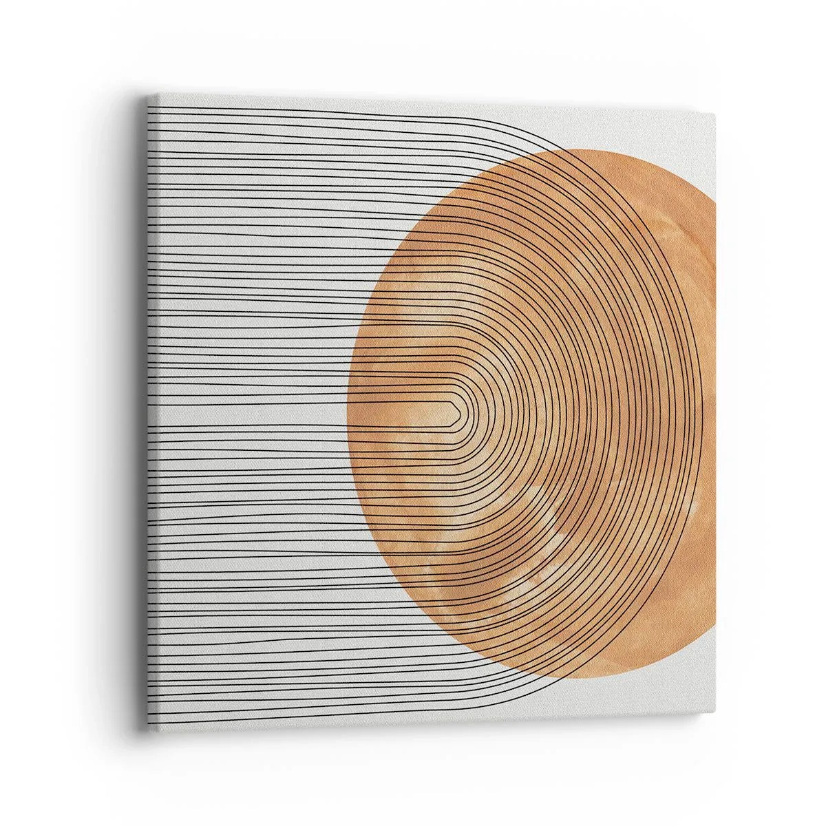 Obraz na plátně - Slunečná kompozice - 40x40 cm