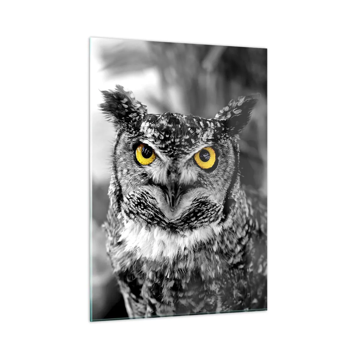 Obraz na skle - Nic se neschová - 50x70 cm