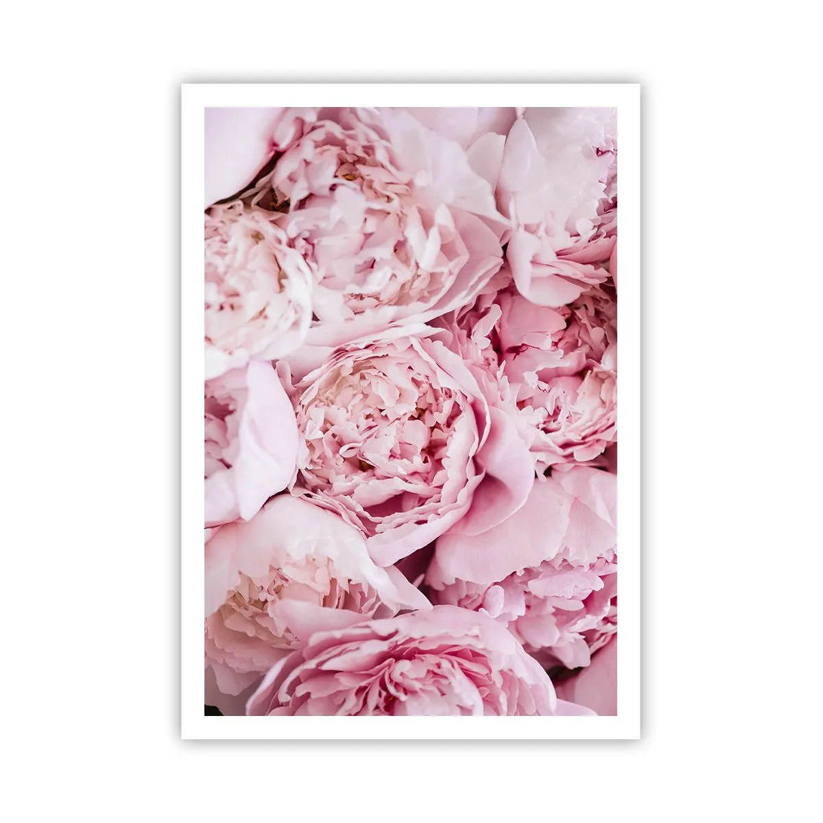 Plakát - Přitulené a voňavé - 70x100 cm