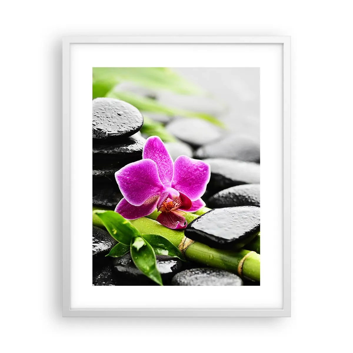 Plakát v bílém rámu - V klidné rovnováze - 40x50 cm