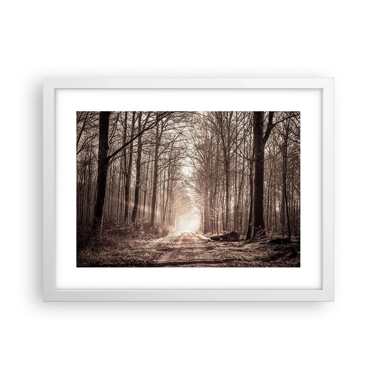 Plakát v bílém rámu - Lesní katedrála - 40x30 cm