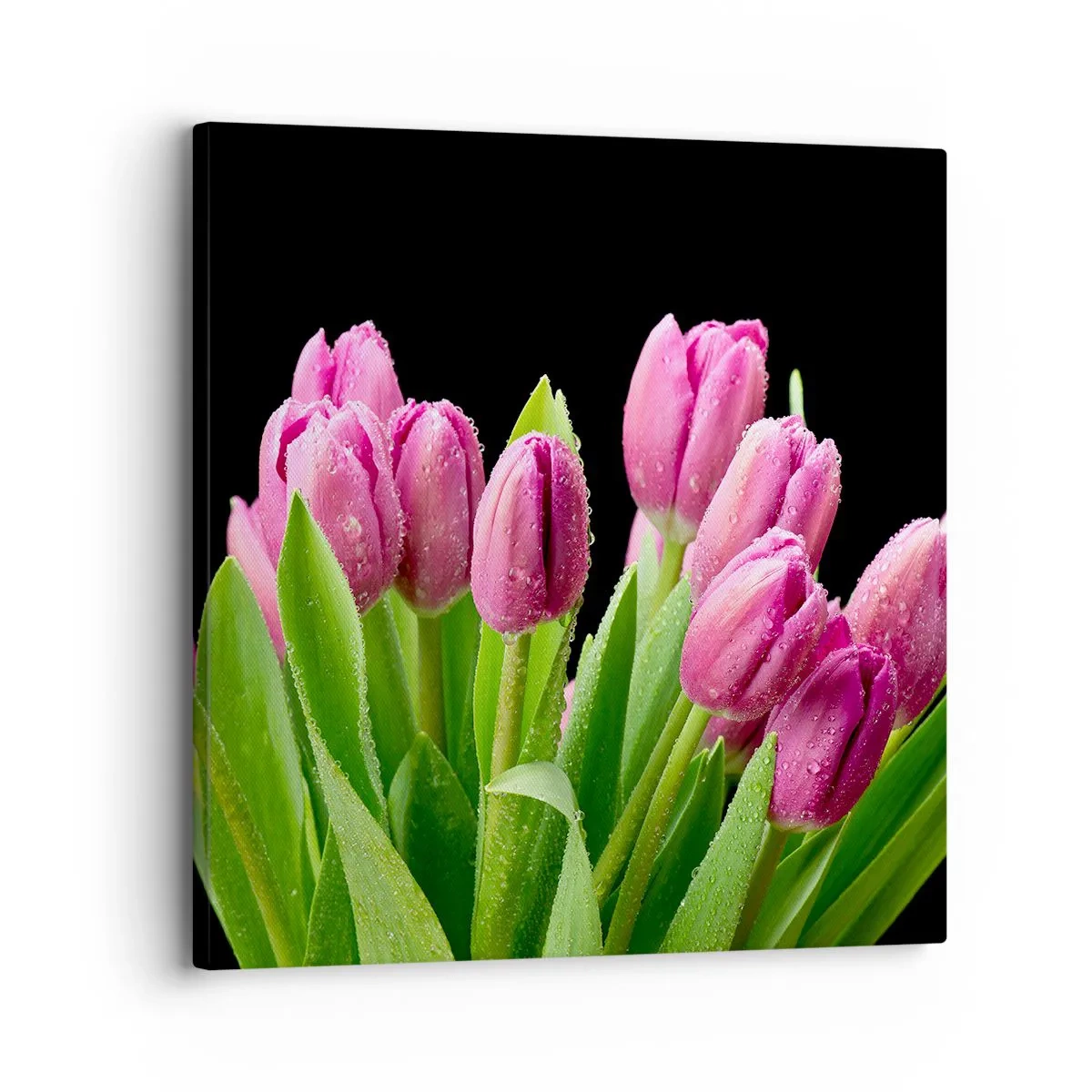 Obraz na plátně - Liliové potěšení jara - 30x30 cm