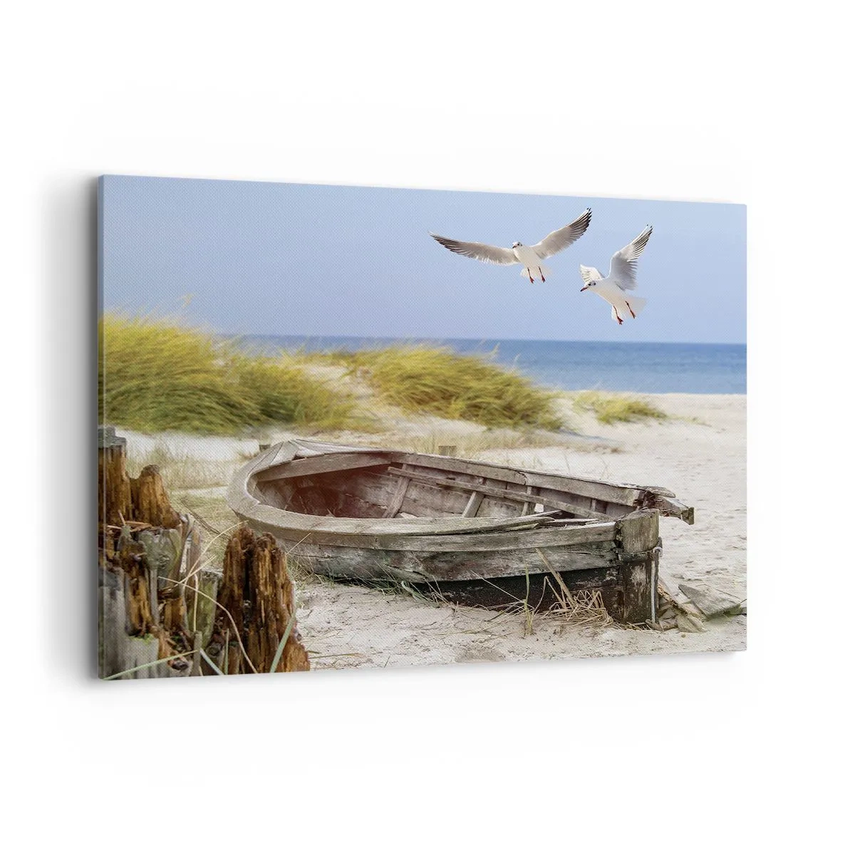 Obraz na plátně - Větrem ozářené - 100x70 cm