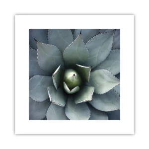 Plakát - Svádí a varuje - 30x30 cm