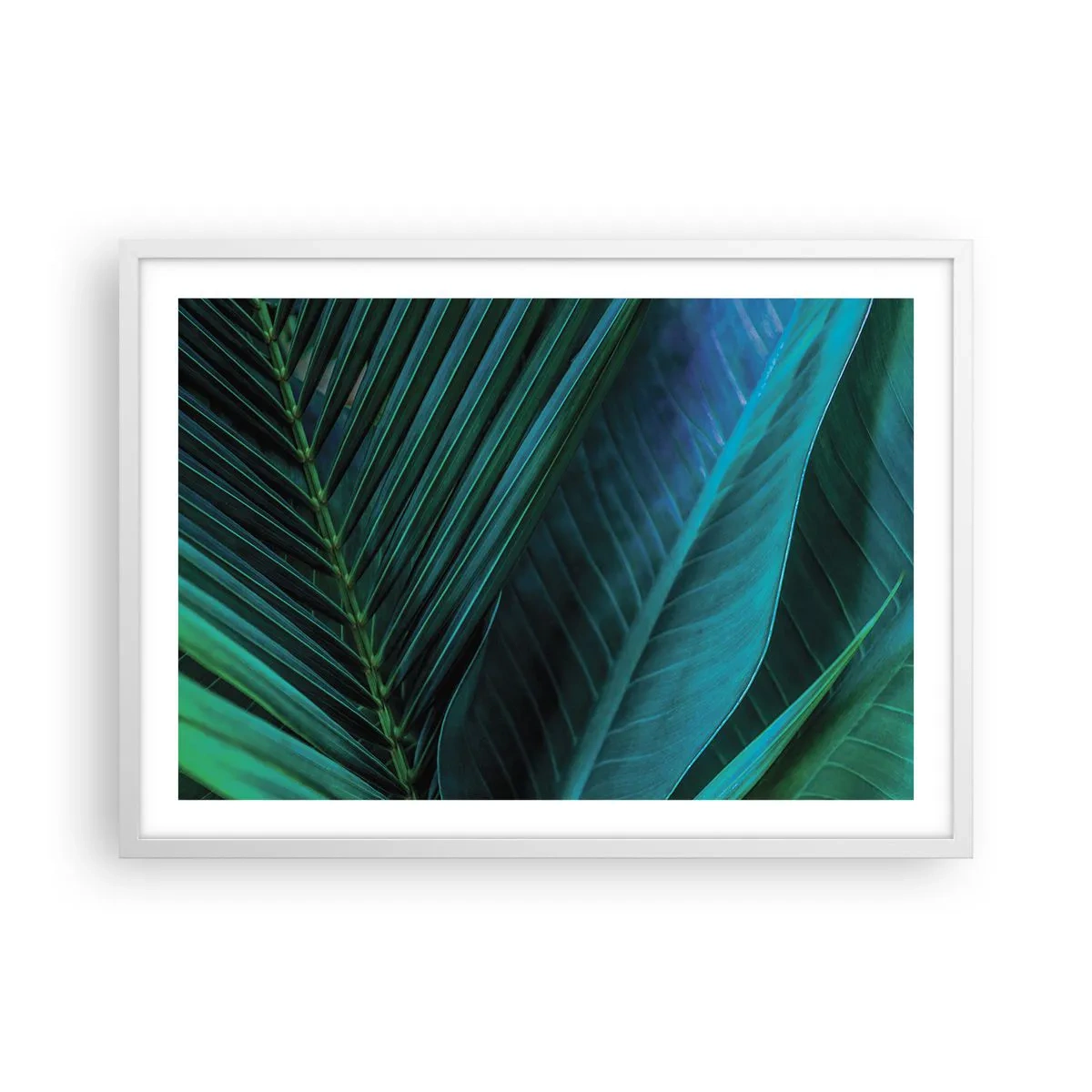 Plakát v bílém rámu - Anatomie zelené - 70x50 cm