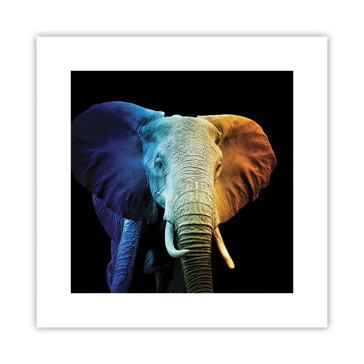 Plakát - Výstřední muž, ale ne podivín - 30x30 cm