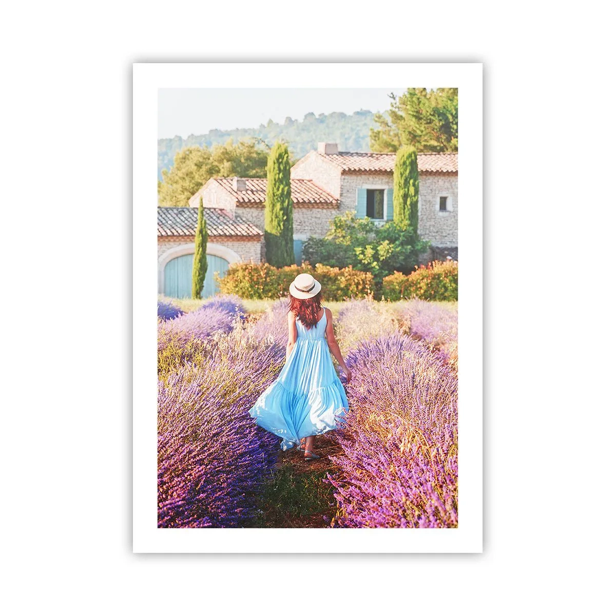Plakát - Levandulová dívka - 50x70 cm