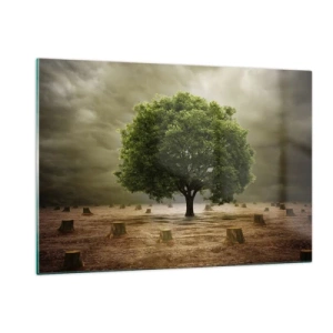 Obraz na skle - Celá naděje - 120x80 cm