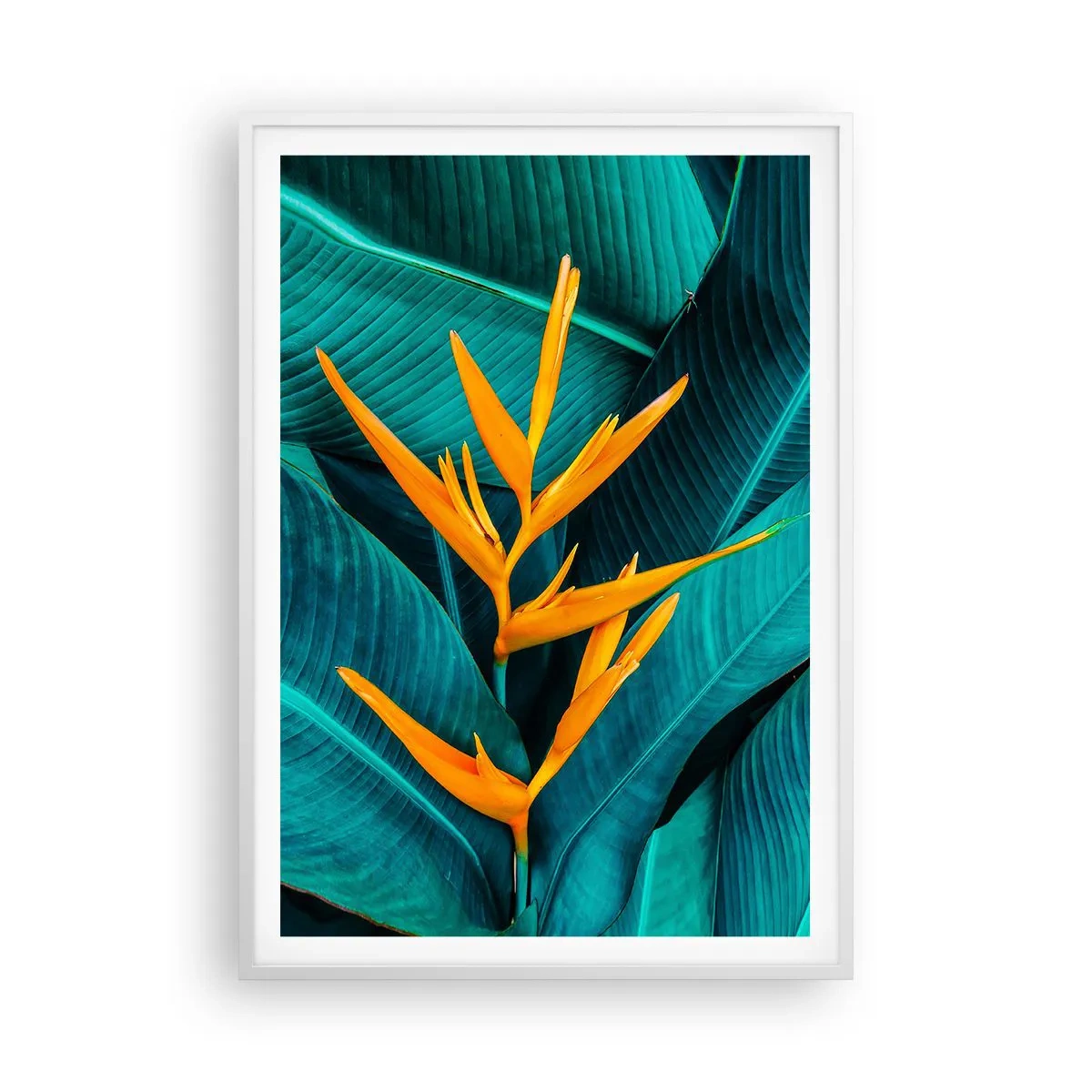 Plakát v bílém rámu - Rajský květ - 70x100 cm