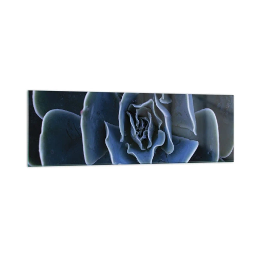 Obraz na skle - Pouštní květ - 160x50 cm