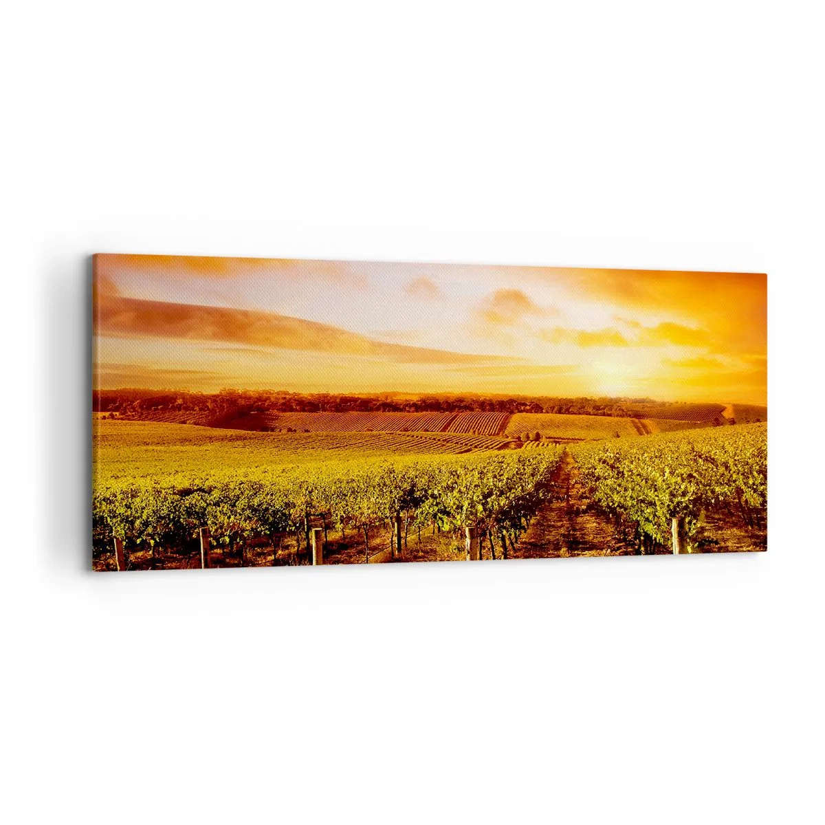 Obraz na plátně - Jemně ovocné s tónem slunce - 120x50 cm
