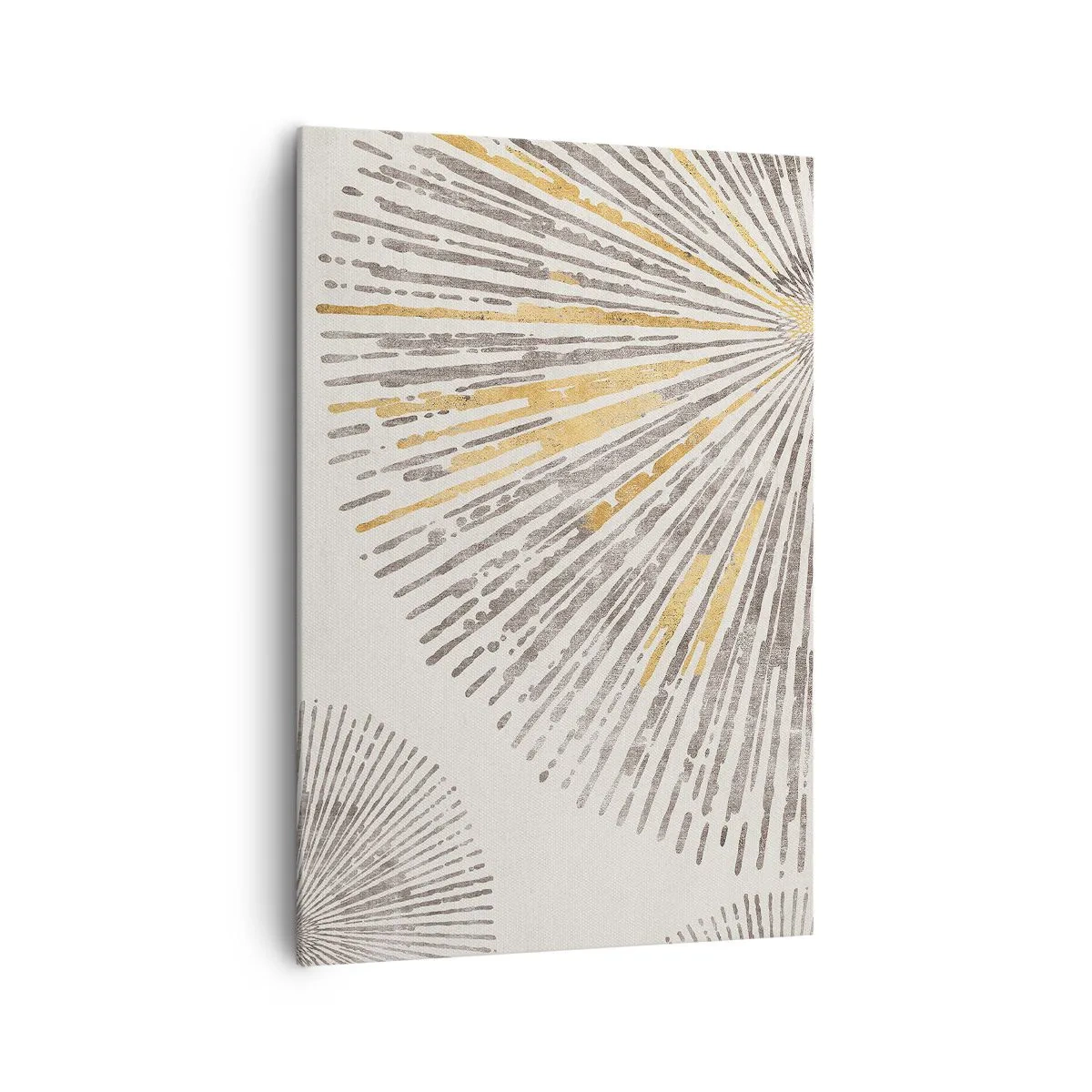 Obraz na plátně - Krása paprsku - 70x100 cm