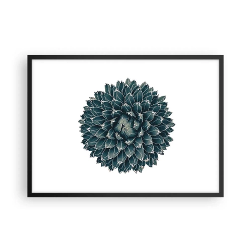Plakát v černém rámu - Hvězda pouště - 70x50 cm
