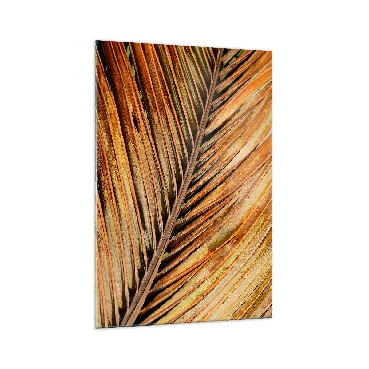 Obraz na skle - Kokosové zlato - 70x100 cm