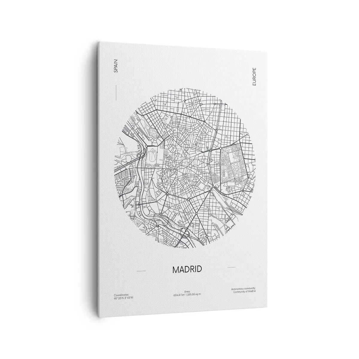 Obraz na plátně - Anatomie Madridu - 70x100 cm