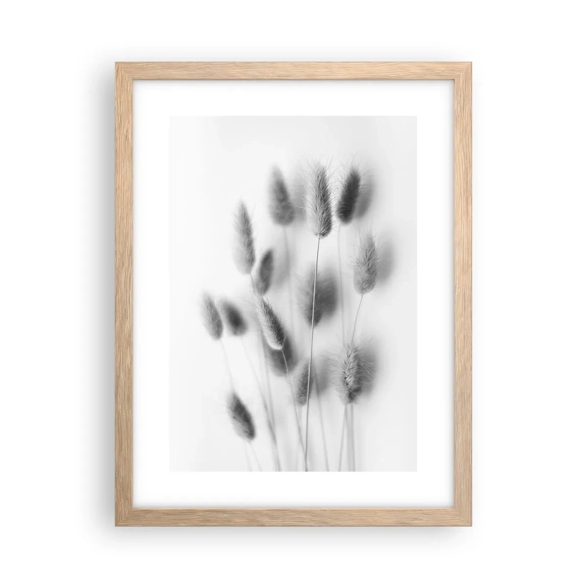 Plakát v rámu světlý dub - Její načechranost tráva - 30x40 cm