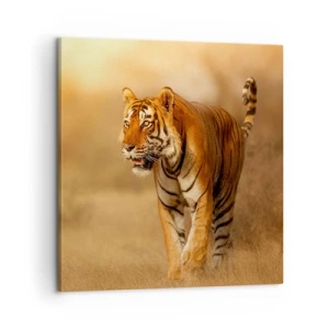 Obraz na plátně - Před útokem - 60x60 cm