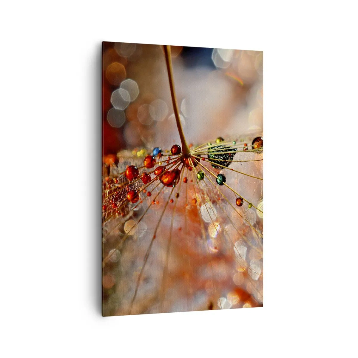 Obraz na plátně - Navlečeno na pavučinu - 80x120 cm
