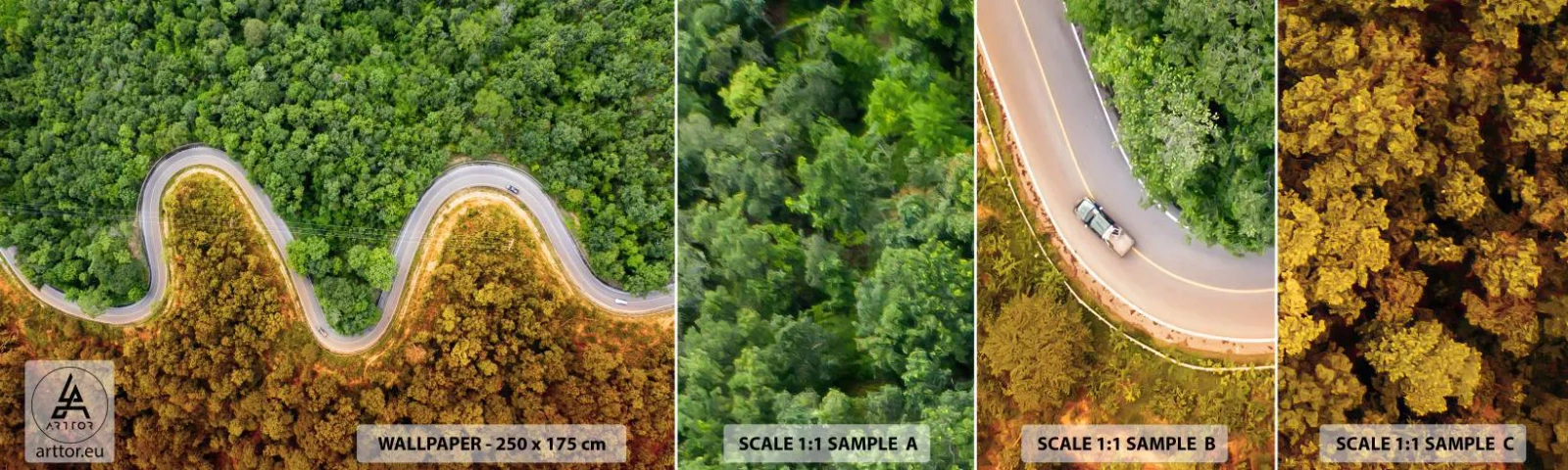 Fototapeta Vzorek Standard Eco - Hranice a průlomy - Krajina, Cesta autem, Les - 100x30 cm