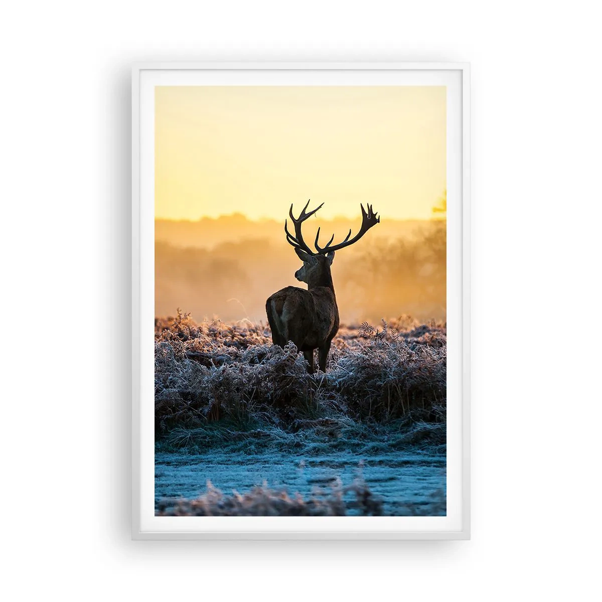 Plakát v bílém rámu - Korunován na svém panství - 70x100 cm