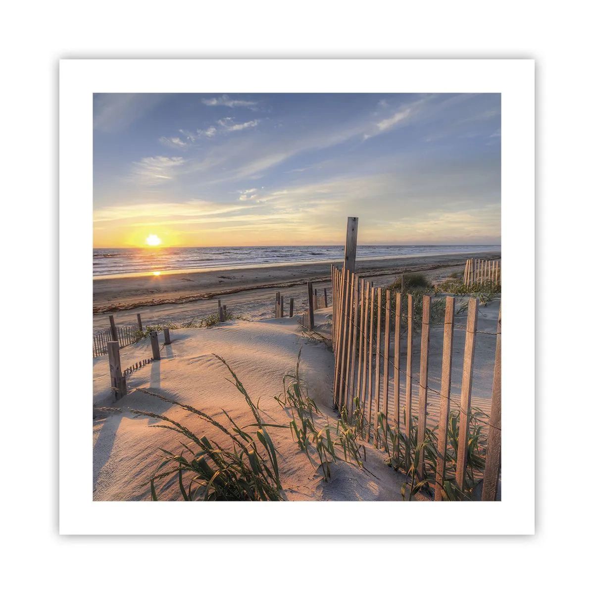 Plakát - Odlesk a stín větru - 50x50 cm