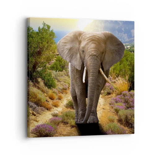 Obraz na plátně - Tak vypadal Ráj - 30x30 cm