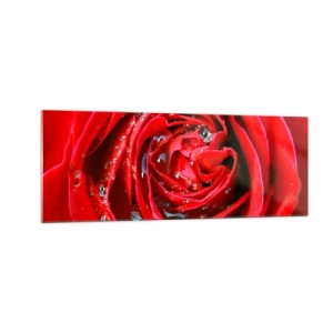 Obraz na skle - V kapkách rosy - 140x50 cm