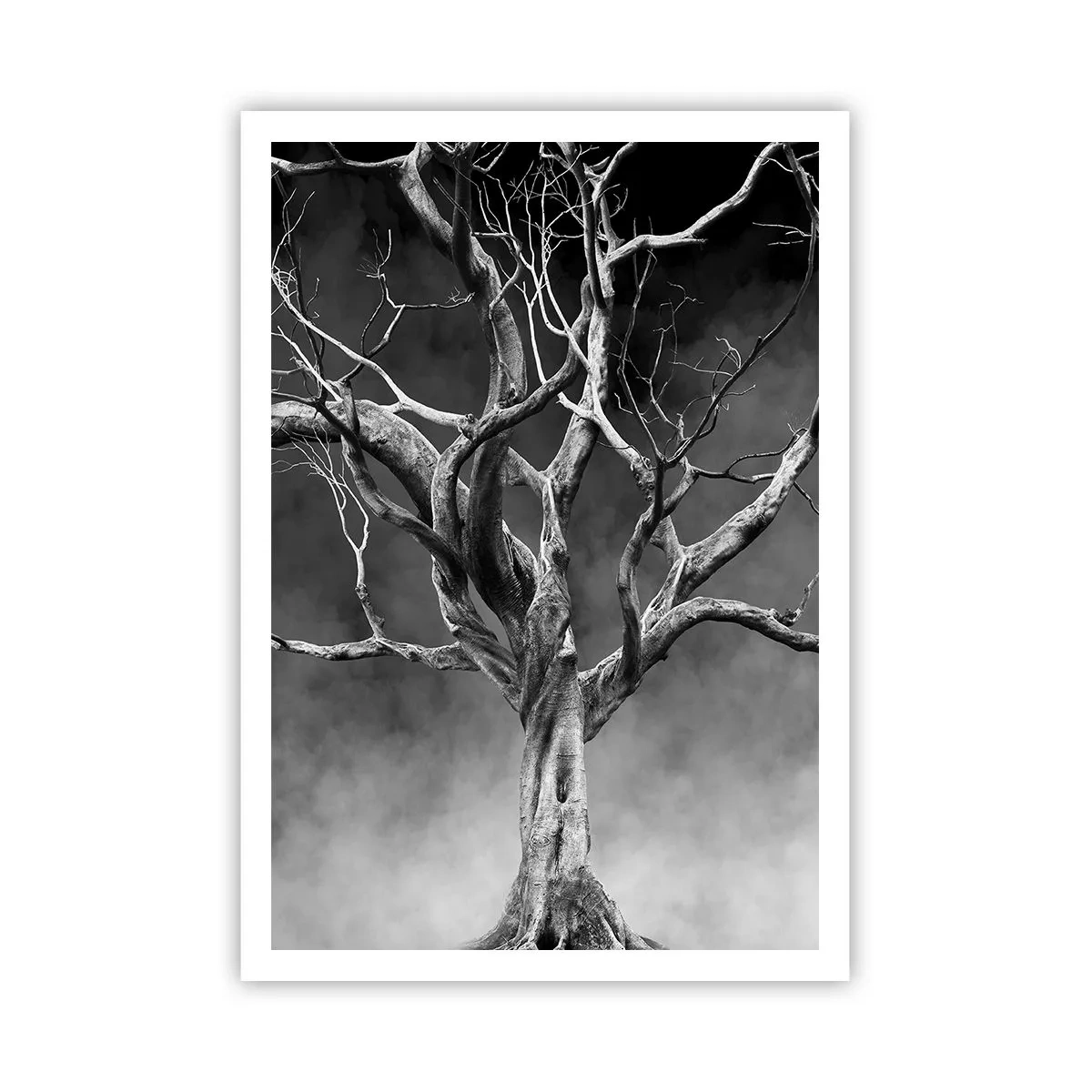 Plakát - Původní a svaté - 70x100 cm