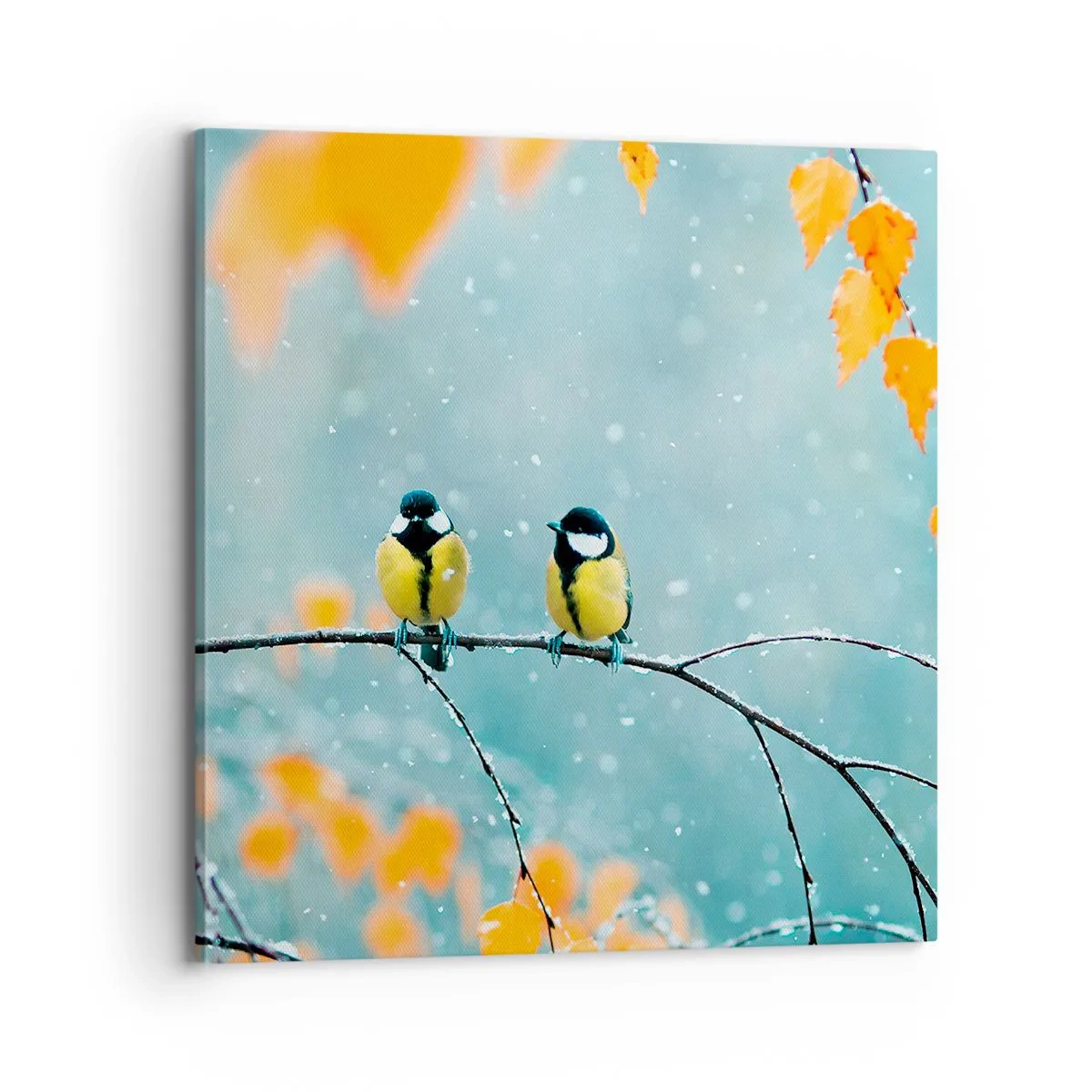 Obraz na plátně - Ptačí drby - 70x70 cm