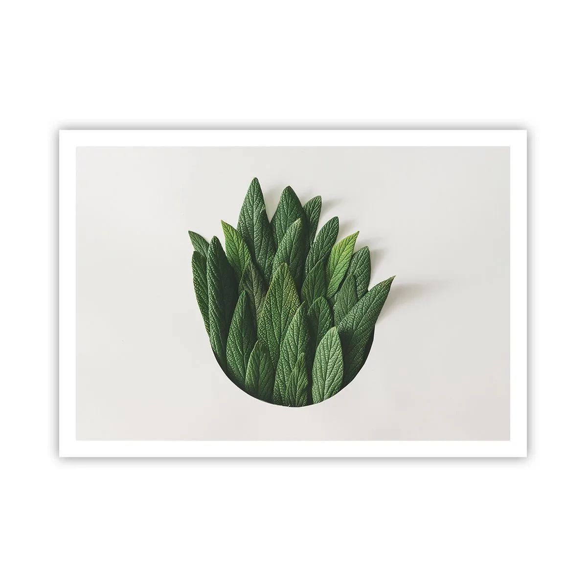 Plakát - Neukojitelná zvědavost - 100x70 cm