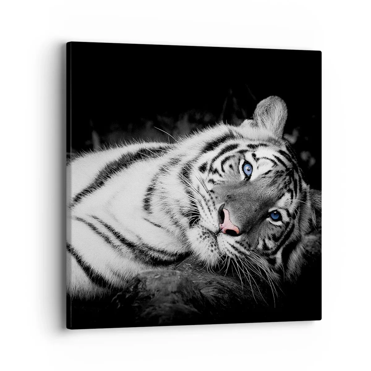 Obraz na plátně - Divočina a klid - 40x40 cm