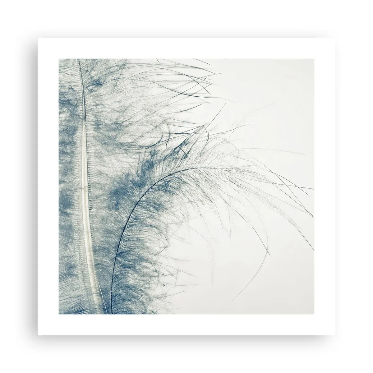 Plakát - Šepot přírody - 50x50 cm