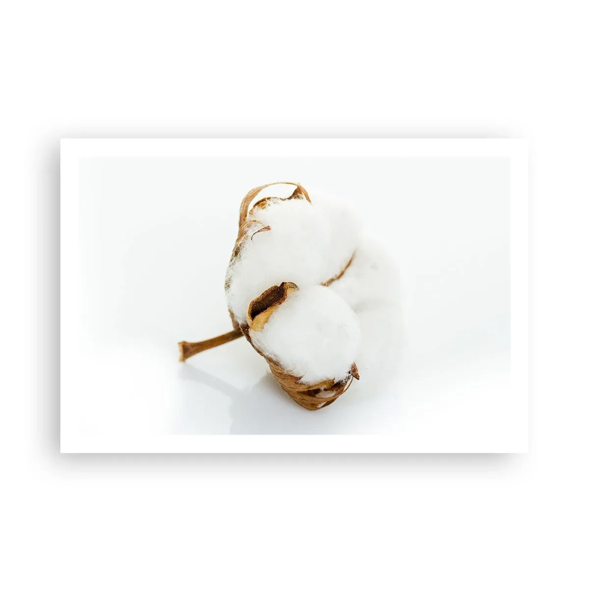 Plakát - Měkká od přírody - 91x61 cm