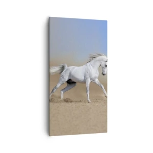 Obraz na plátně - Nejkrásnější arabská pohádka - 55x100 cm