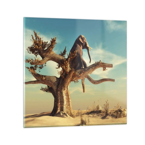 Obraz na skle - Nový úhel pohledu - 50x50 cm