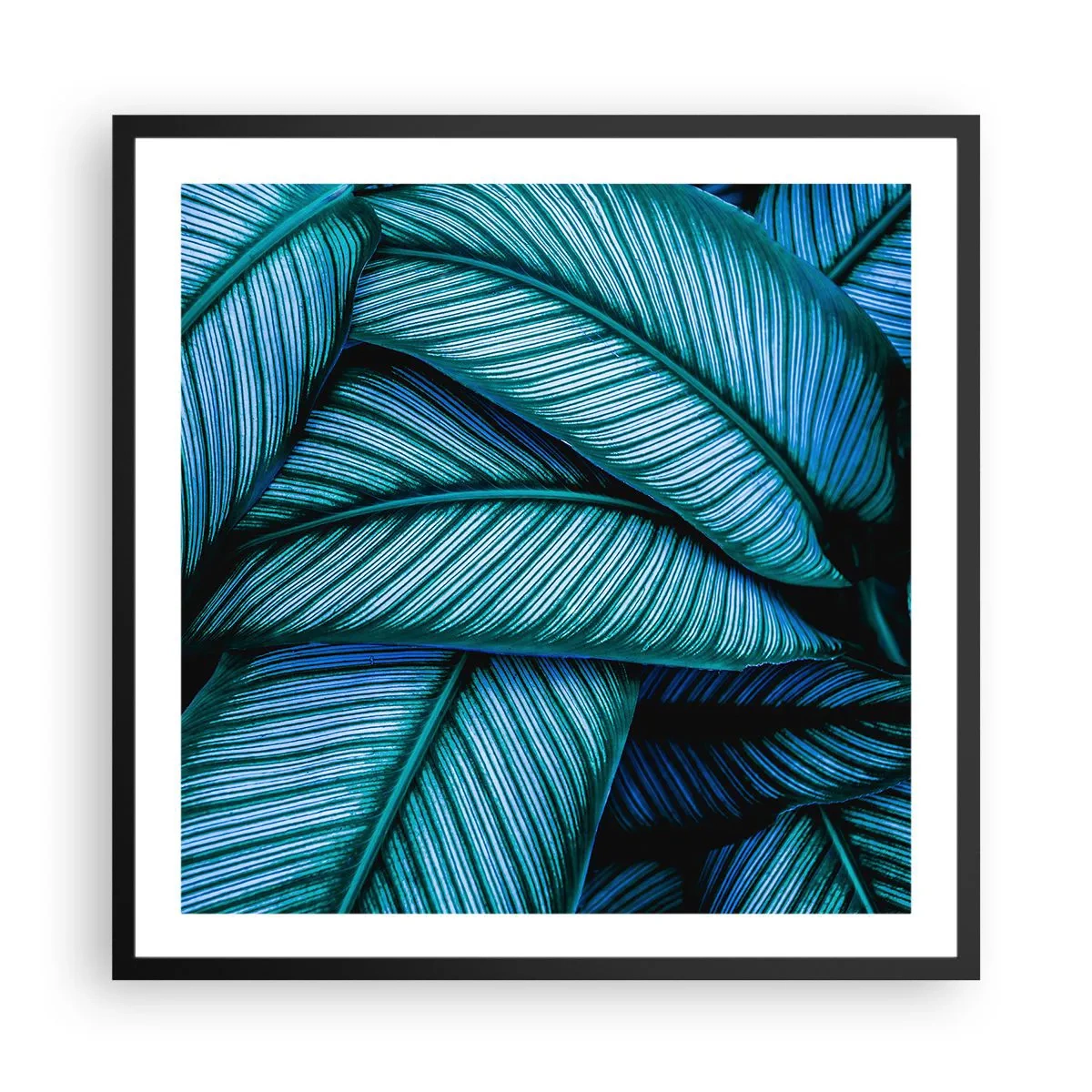 Plakát v černém rámu - Čáry života - 60x60 cm