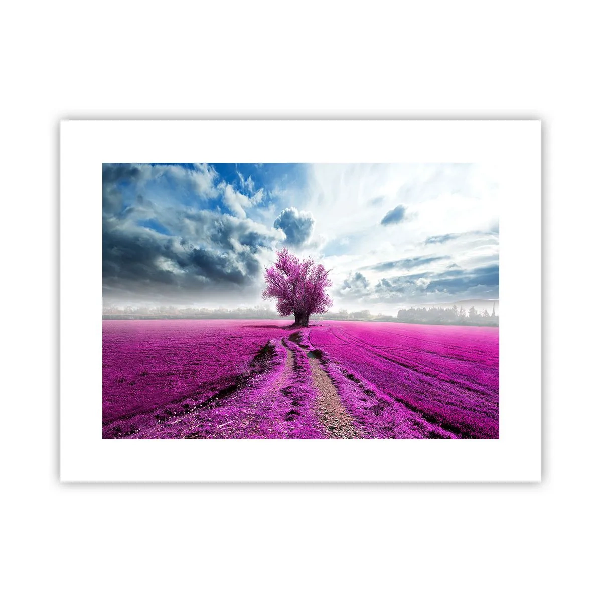 Plakát - Vřesoviště - divočina - 40x30 cm