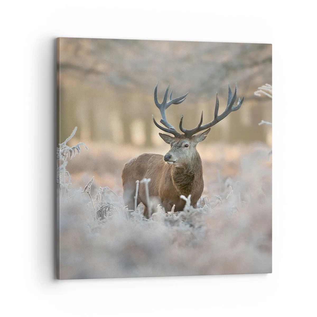 Obraz na plátně - Svěží ráno - 70x70 cm