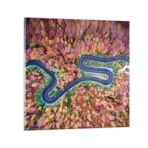 Obraz na skle - Klikatá cesta lesem - 50x50 cm