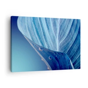 Obraz na plátně - Modrý list s viditelnými kapkami vody - 70x50cm - Skryté kapky modři - Moderní nástěnná dekorace do obývacího pokoje a ložnice ARTTOR