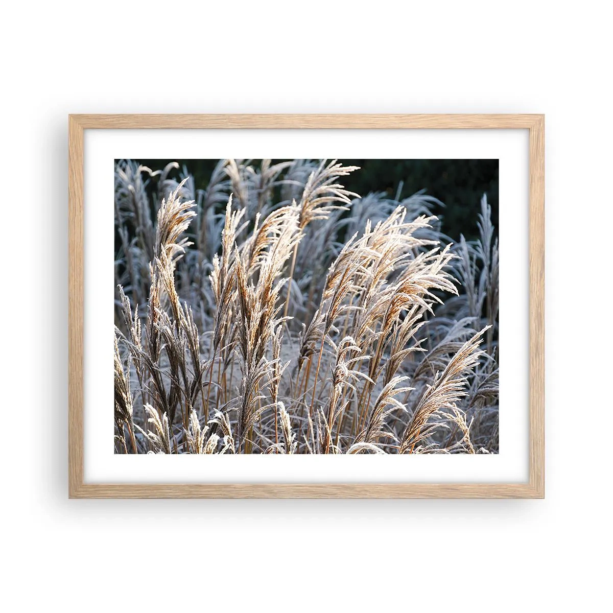 Plakát v rámu světlý dub - Mrazem pokryté - 50x40 cm