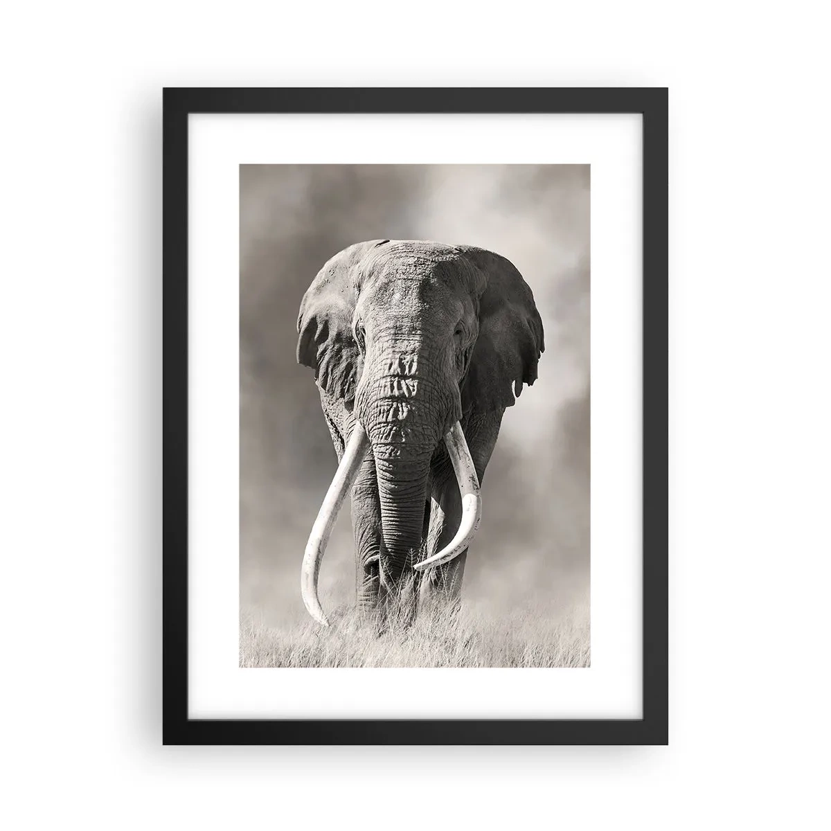 Plakát v černém rámu - Africký patriarcha - 30x40 cm