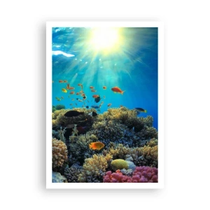 Plakát - Podvodní poklady - 70x100 cm